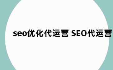 seo优化代运营 SEO代运营